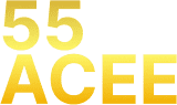 in55acee.com Logo